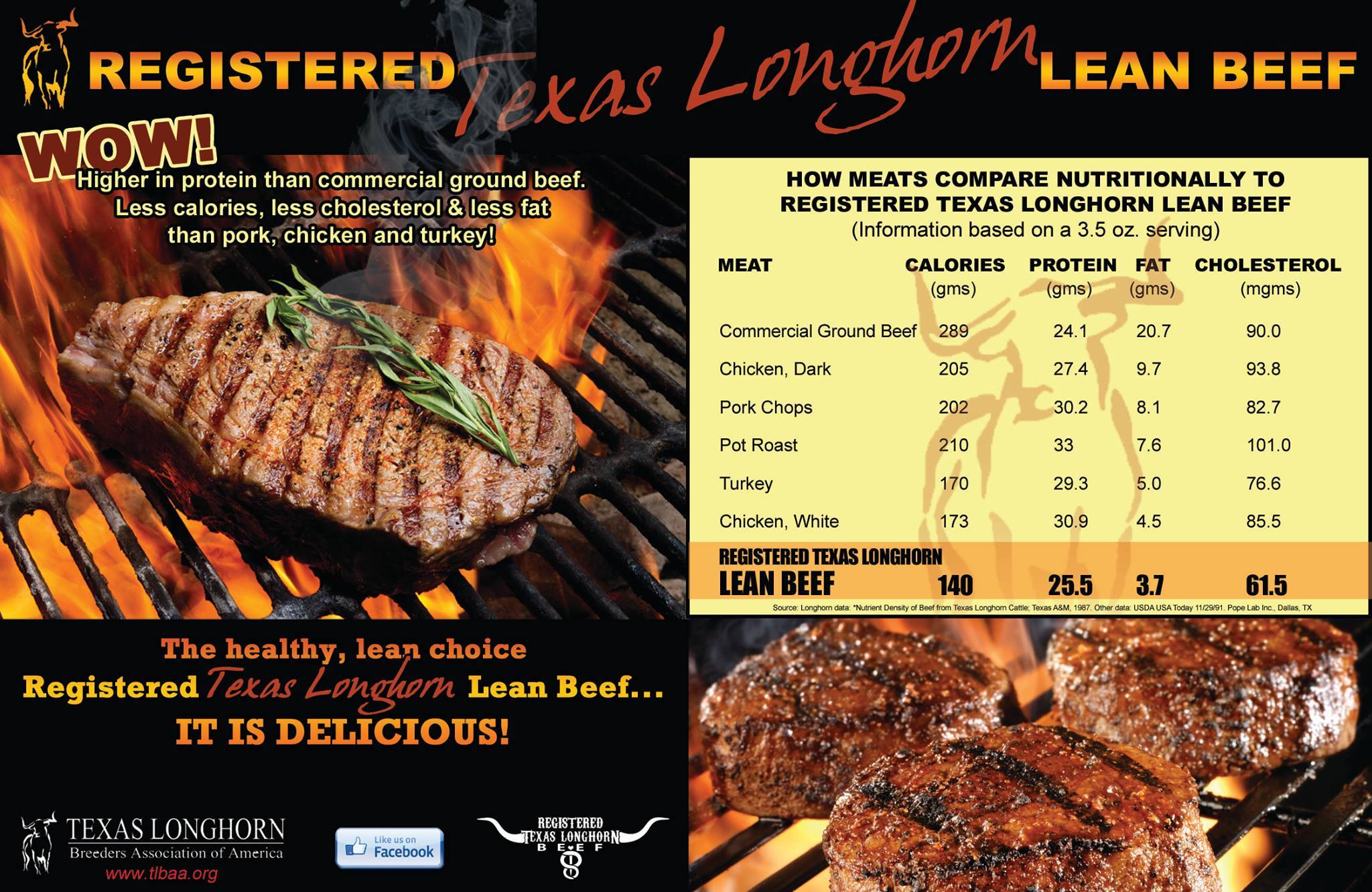 Health Benefits of Grass Fed Beef